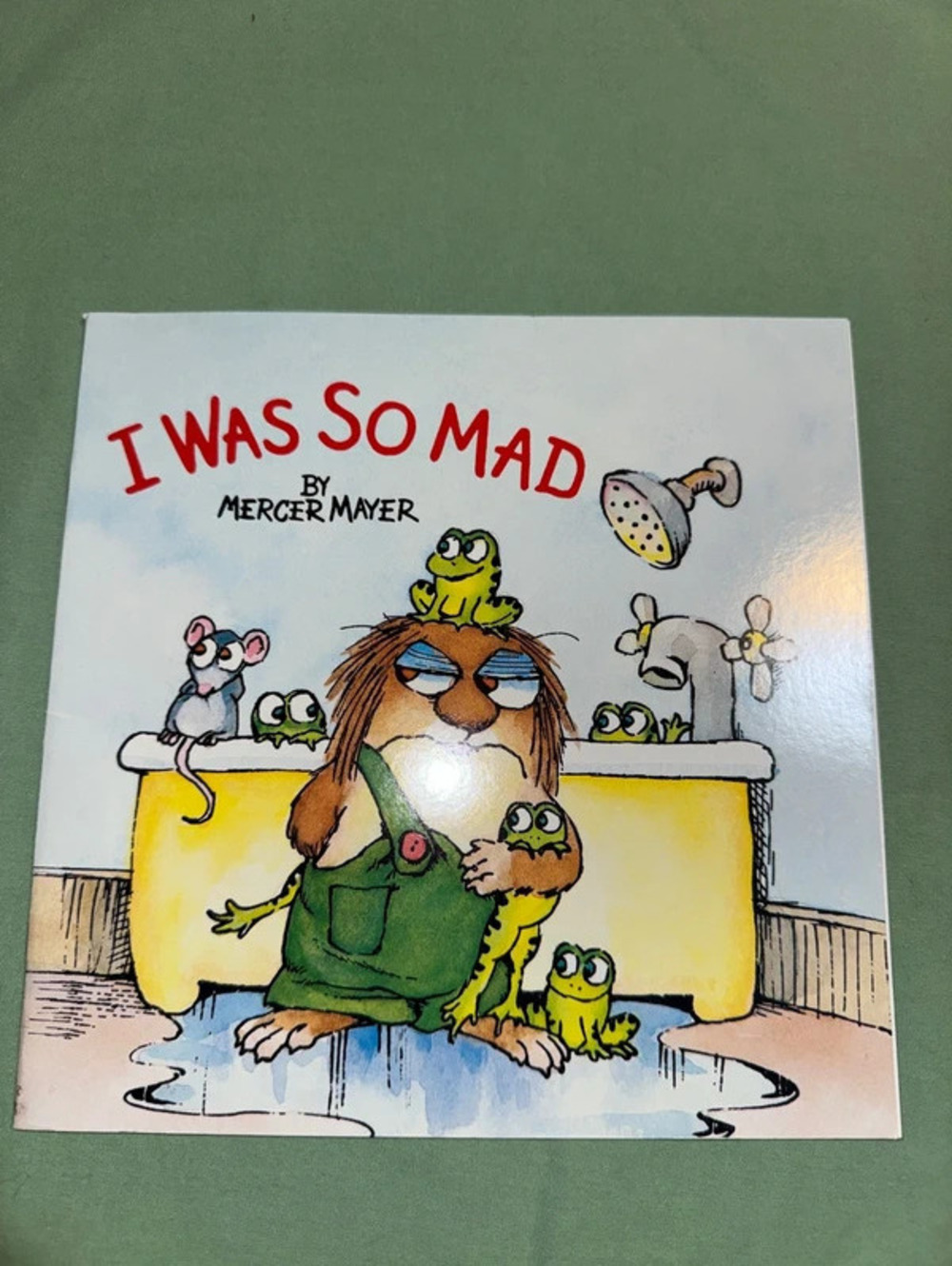 I Was So Mad by Mercer Mayer